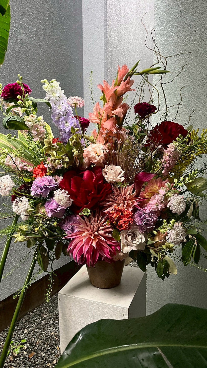 vividcolor arrangement