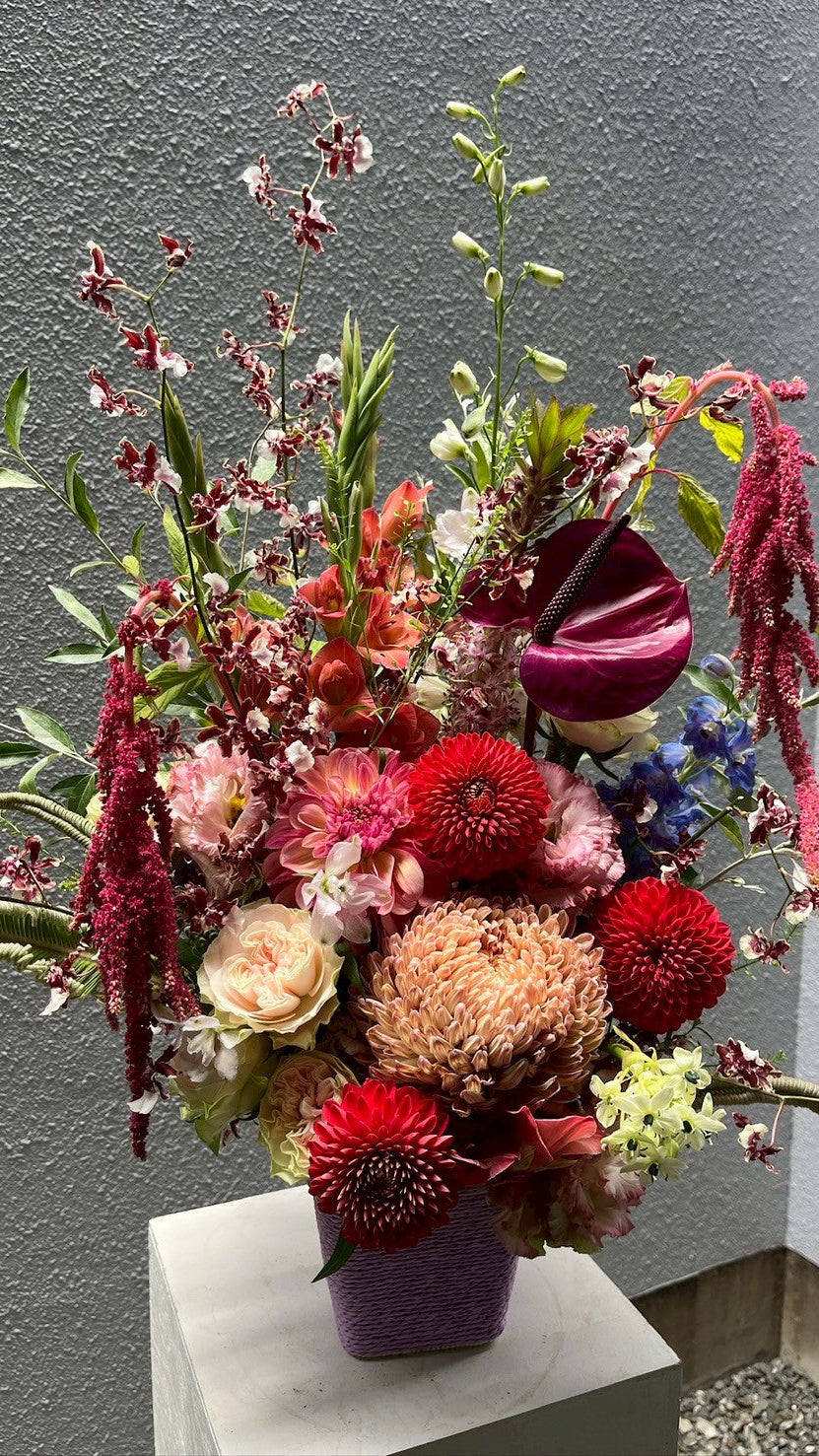 vividcolor arrangement