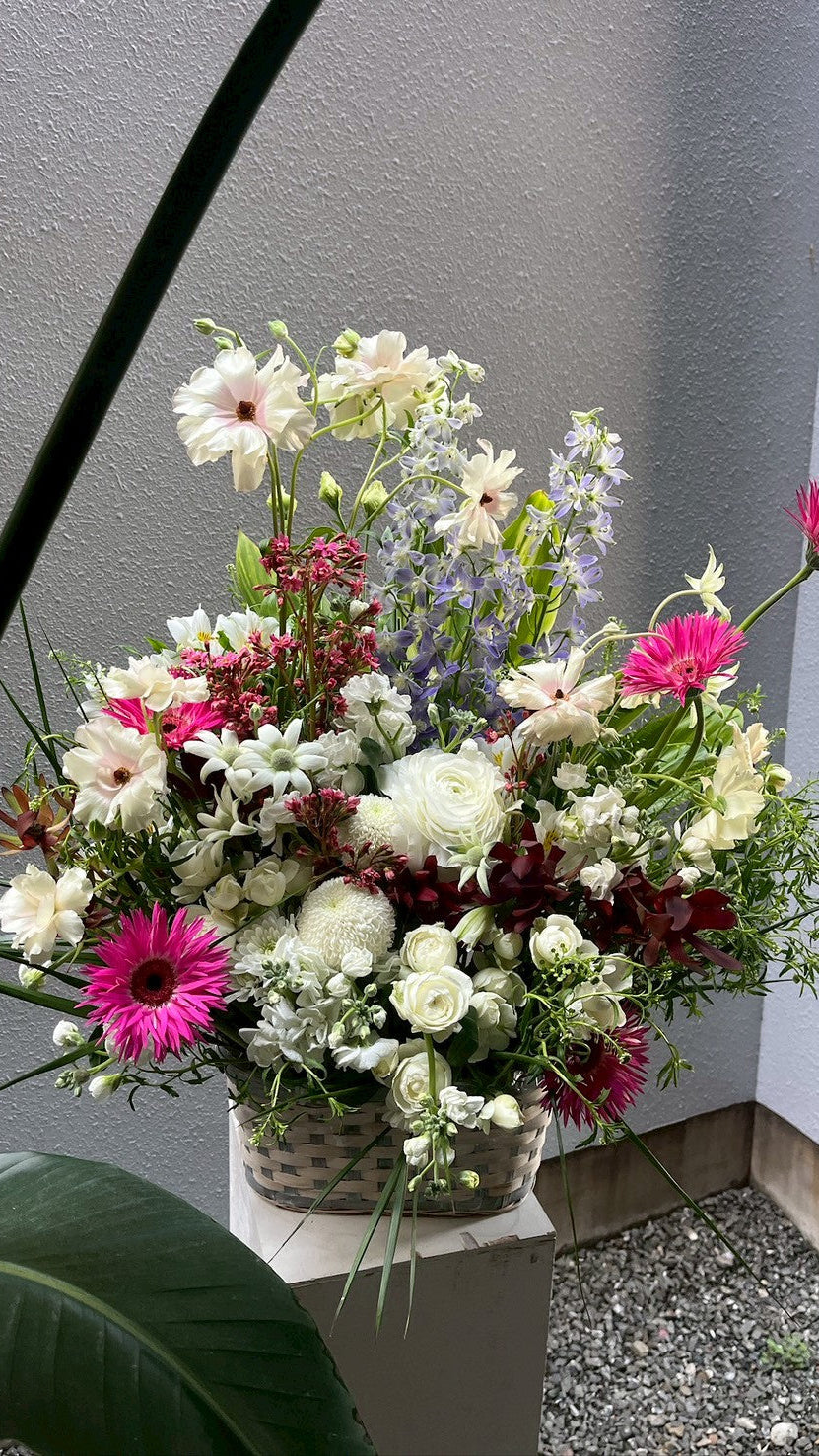 puripuri arrangement